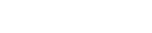 Learn AI from Experts